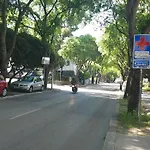 Two Spalatina *