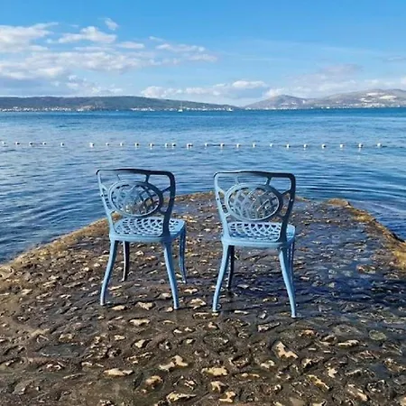 Two Spalatina * Split